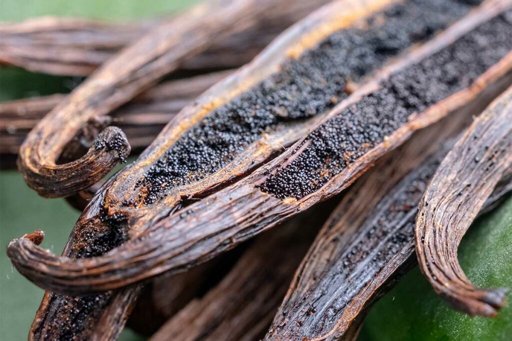 VANILLA SEEDS 25G